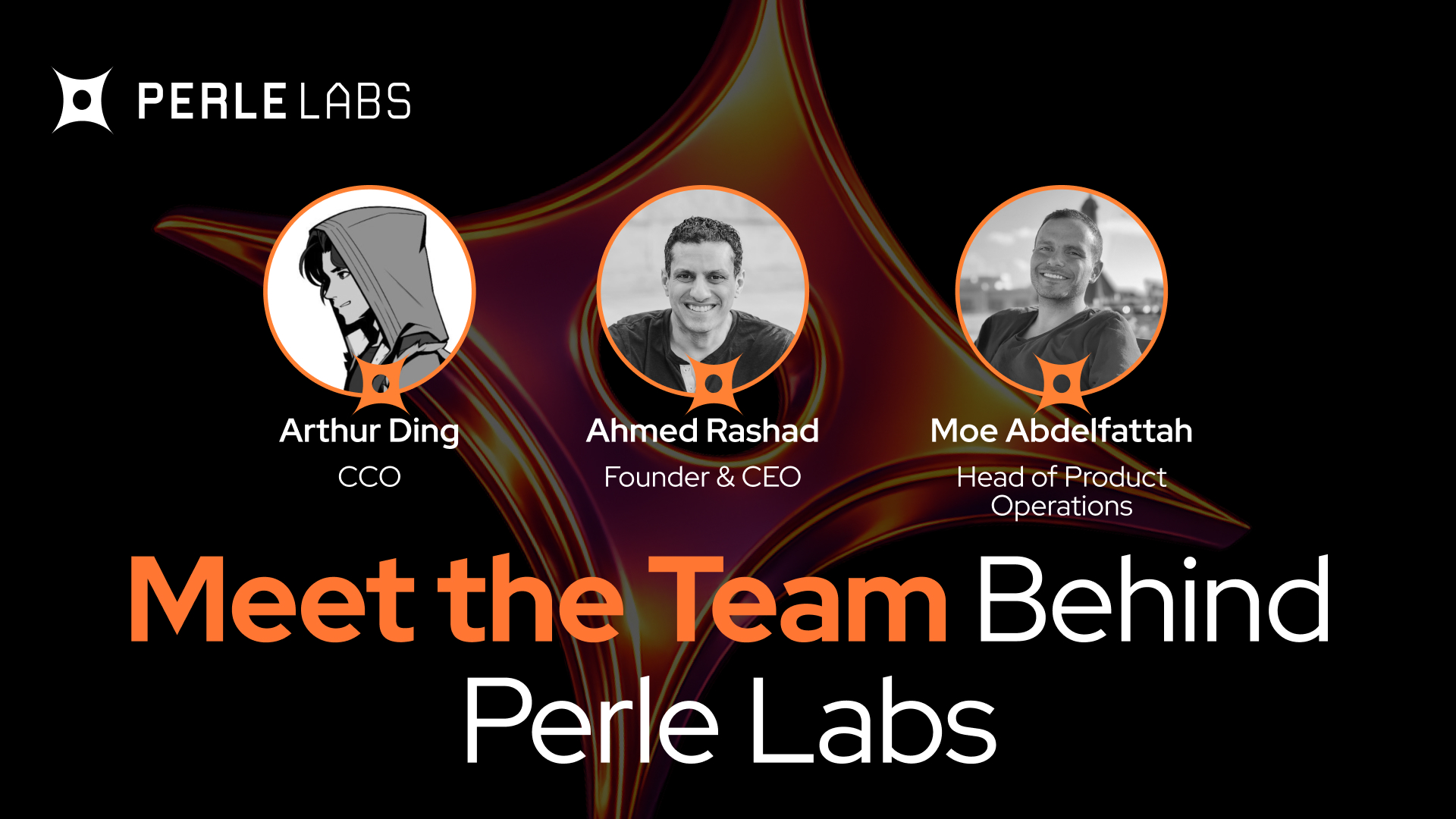 Module 5: Meet the Team Behind Perle Labs